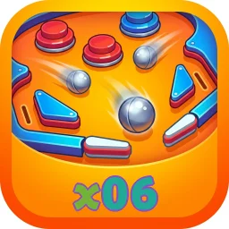 x06